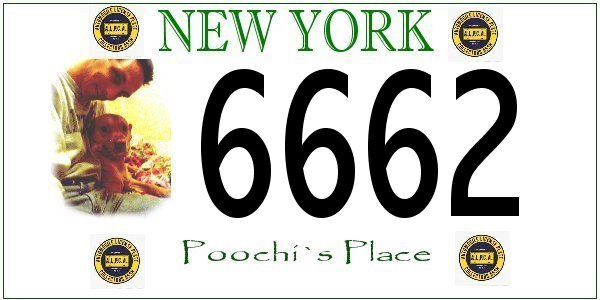New plates you may see on the road soon