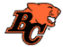 Lions