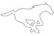 Stampeders