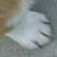top view