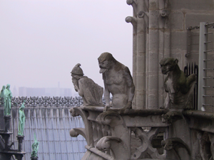 Top of the Notre Dame Cathedral - Paris, France
