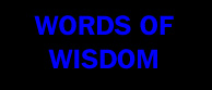 Wisdom of the Viking King