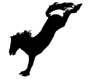 Image of cbuck.gif