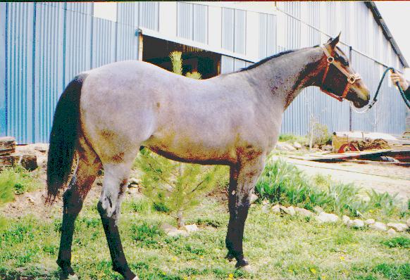 Image of pict0010.jpg