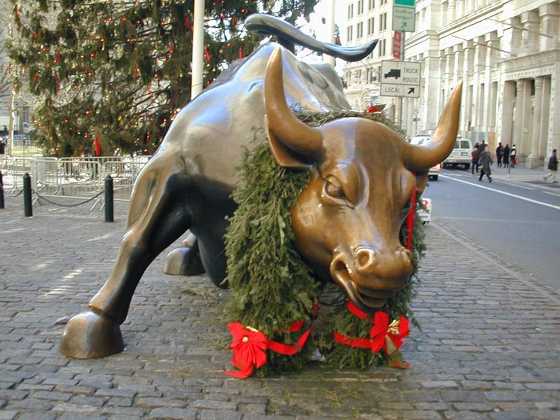 Bull