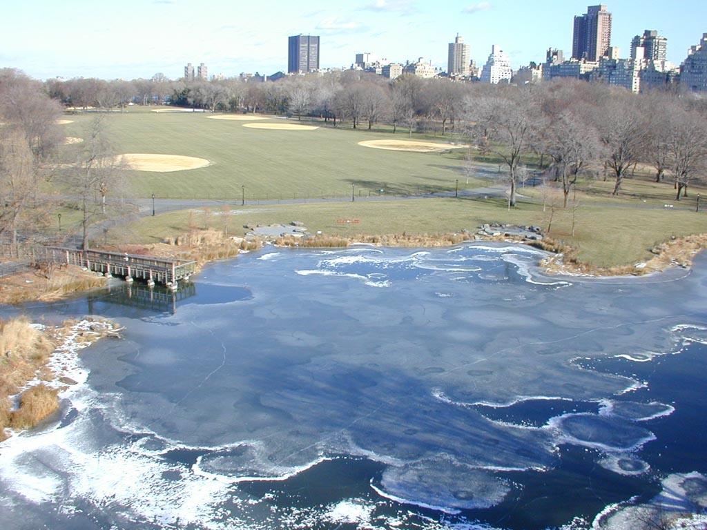 Central Park Lake