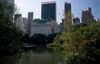 Central Park