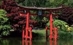 New York Botanical Garden