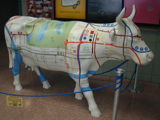 cow.jpg (79784 bytes)