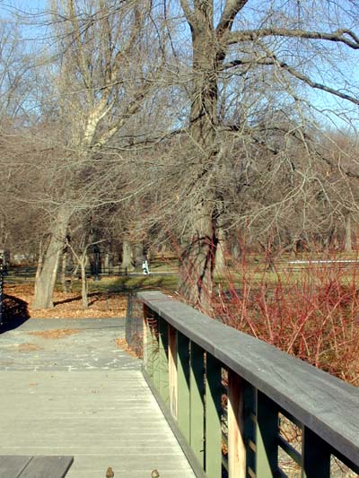 Central Park