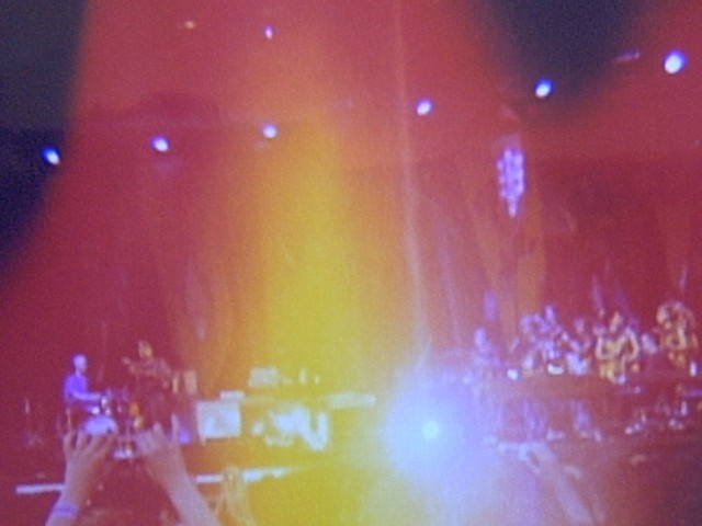 Bjork plays big day out