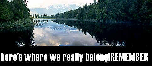 The answer 2 our life