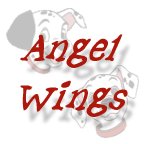 Angel Wings