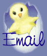 E-mail Me Any Comments or Suggestions