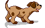 Puggie