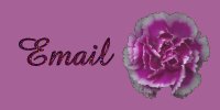 E-mail Me Any Comments or Suggestions