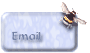 E-mail Me Any Comments or Suggestions