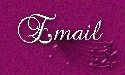 E-mail Me Any Comments or Suggestions