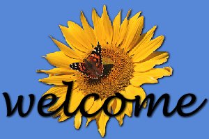 Welcome