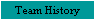 Team History