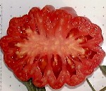 victoryseeds