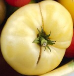 Photo credit: seedfest