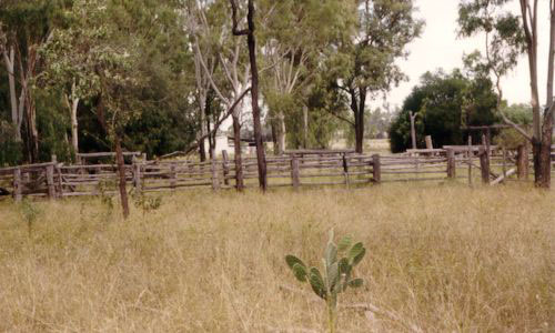 cattle yards