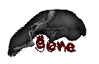 Skeleton Gone