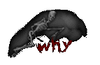Skeleton Why