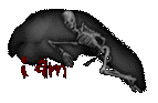 Skeleton I Am
