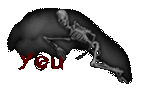 Skeleton You