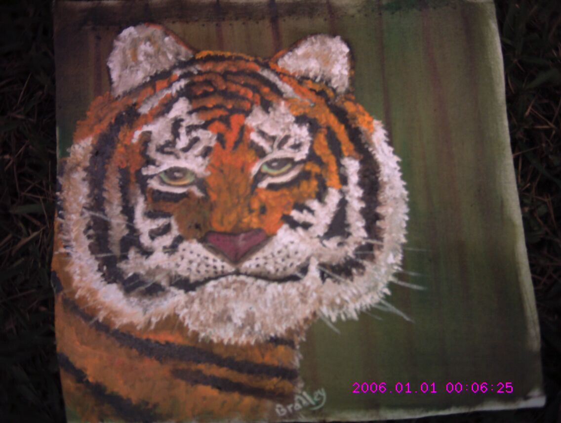 Tiger 02