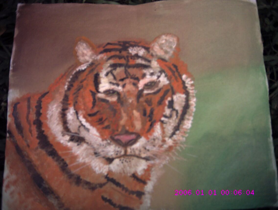 Tiger 03