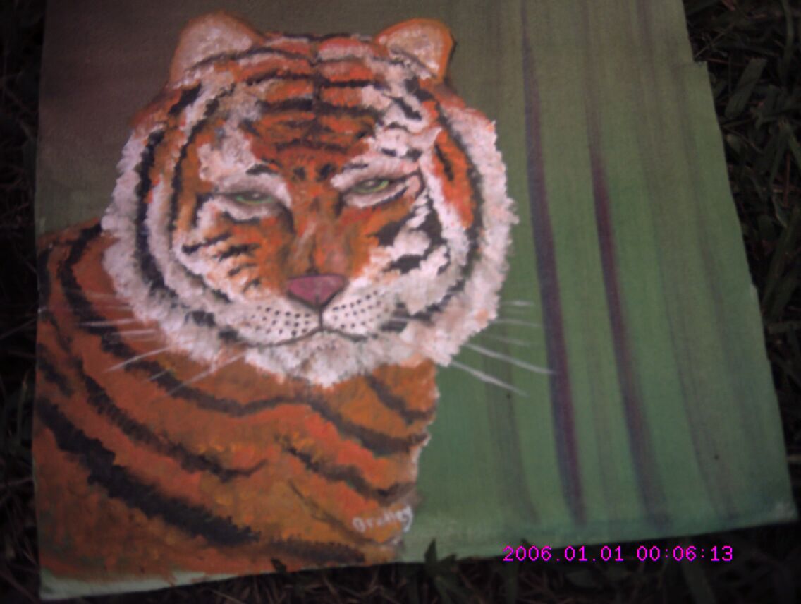 Tiger 01