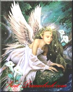 Dreambook