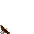 eaglemilly.gif (1771 bytes)