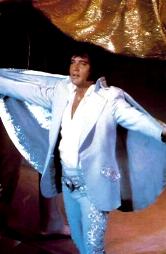 elvis3.jpg (9566 bytes)