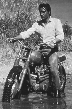 elvis5.jpg (28409 bytes)