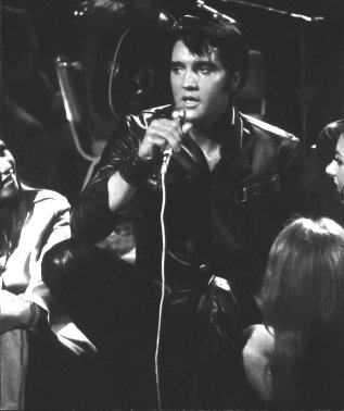 elvis6.jpg (18969 bytes)