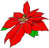 poinsetts1.gif (2299 bytes)