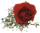 redrosesmall.gif (1702 bytes)