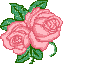 rfhumrose.gif (4549 bytes)