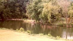 wolfriver.jpg (9627 bytes)