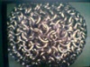 hacksack thumbnail