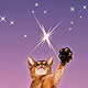 Star for Her