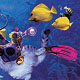 Diving