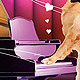 Dog's Waltz