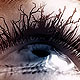 Eyes as Lakes