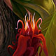 Florans