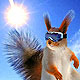 Happy Squirrel - 2